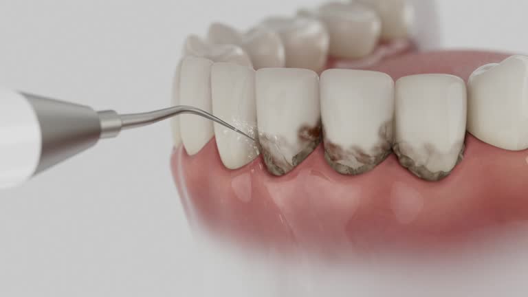 Reliable Dental contractor in Pittsboro, NC by Dentist Open Now